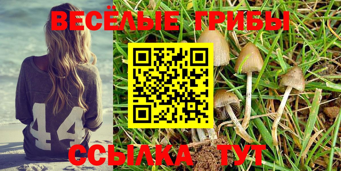 Галлюциногенные грибы GOLDEN TEACHER Нягань