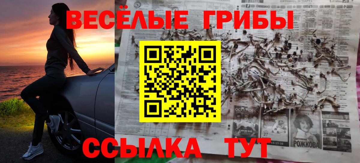 Нягань  Псилоцибиновые грибы ЛСД  Вход с VPN  Псилоцибиновые грибы мухоморы 