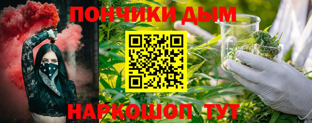Бошки Шишки гибрид Нягань